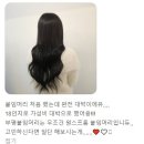 원스프롬붙임머리