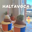 🍦 대구 수성구 할타보카 만촌점 | 담티역 도보 10초 젤라또 가게 솔직 후기 🍨
