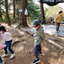 미래자연유치원 이미지