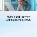 하이펫동물병원 | 88%가 모르는 &#34;펫보험&#34;의 진실, 월 1만원으로 500만원 의료비 해결?