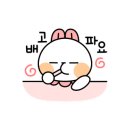 오색키조개 이미지