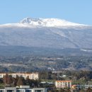 서호동-3 이미지