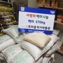 프라움 악기박물관 이미지