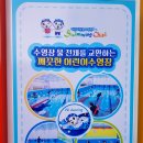 스위밍차일드 이미지