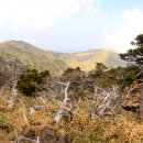 NR-13[건재로]-상-123 | 한라산 추억을 찾아서(21.4.16/금요일)