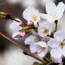 삼천순환로 이미지