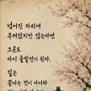 젊은 가장 Daum카페