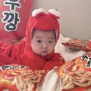 아기 100일 셀프촬영 소품 대여 모모데이 새우깡 컨셉