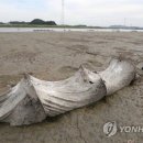 대청3단지 이미지