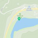 살구나무펜션민박 이미지