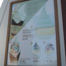 젤리피쉬소프트 이미지