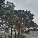 백운힐링밸리 이미지