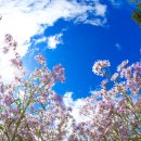 용추농원 이미지