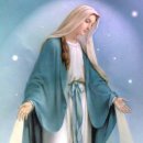 아베(AVE) 이미지