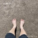 한동대학교 교육대학원 | 상담대학원 3학기를 마치며...