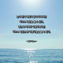 1086 | 사랑 명상 1086