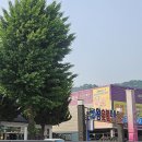 왕숯불민물장어 이미지