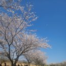 한국장루장애인협회 창립40주년 기념 제주여행사진 이미지