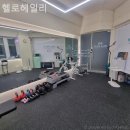 헬로헤일리 이미지