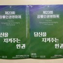 강릉인권영화제 티스토리