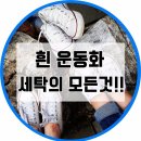 크린가가 이미지