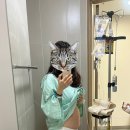 10 | 의정부을지대병원 제왕절개 후기② 오전 10시 출산