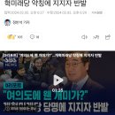 [D리포트] &#34;여의도에 웬 개미가?&#34;…개혁미래당 약칭에 지지자 반발 이미지