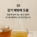 꿀물의 놀라운 효능 7가지 🍯💧