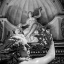 욕망의 열매 이미지