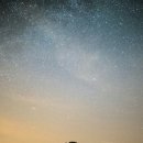 경희한나무한의원 이미지