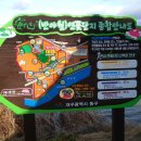 안심창조밸리 천천둘레길 이미지