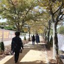 구림산책길 이미지