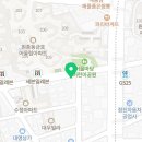 청년피자원종고강점 이미지