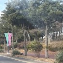 삼춘 | 제주 2일차