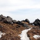 양지여인숙 이미지