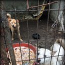 여시농장 이미지