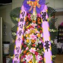 일해식품 이미지