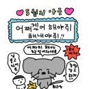 테시토의원 이미지