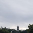 영광(아) 이미지