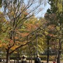 일자산자연공원(잔디광장옆) | 놀이터, 잔디, 산책로까지 한 번에! 아이와 즐기는 용산가족공원 주차 및 시설 안내