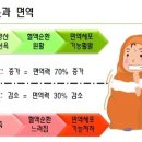 놀이터다이어트클럽