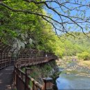 대가야 카 써비스 | 디지털 관광주민증 발급 방법부터 혜택까지 총정리 (2025 최신)