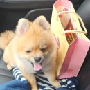 산책하는날 이미지