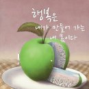 7월8일 ㅡ일 ㅡ아침뉴스 이미지