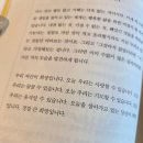 포르토나