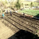 와리농장 이미지