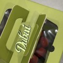 소미밥상 | '26 1월 일상