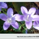 울룰라 이미지