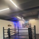 TSQ BOXING 이미지