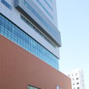 카톨릭대학교 티스토리